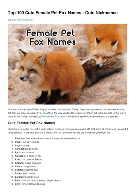 cute fox names female|fox nicknames.